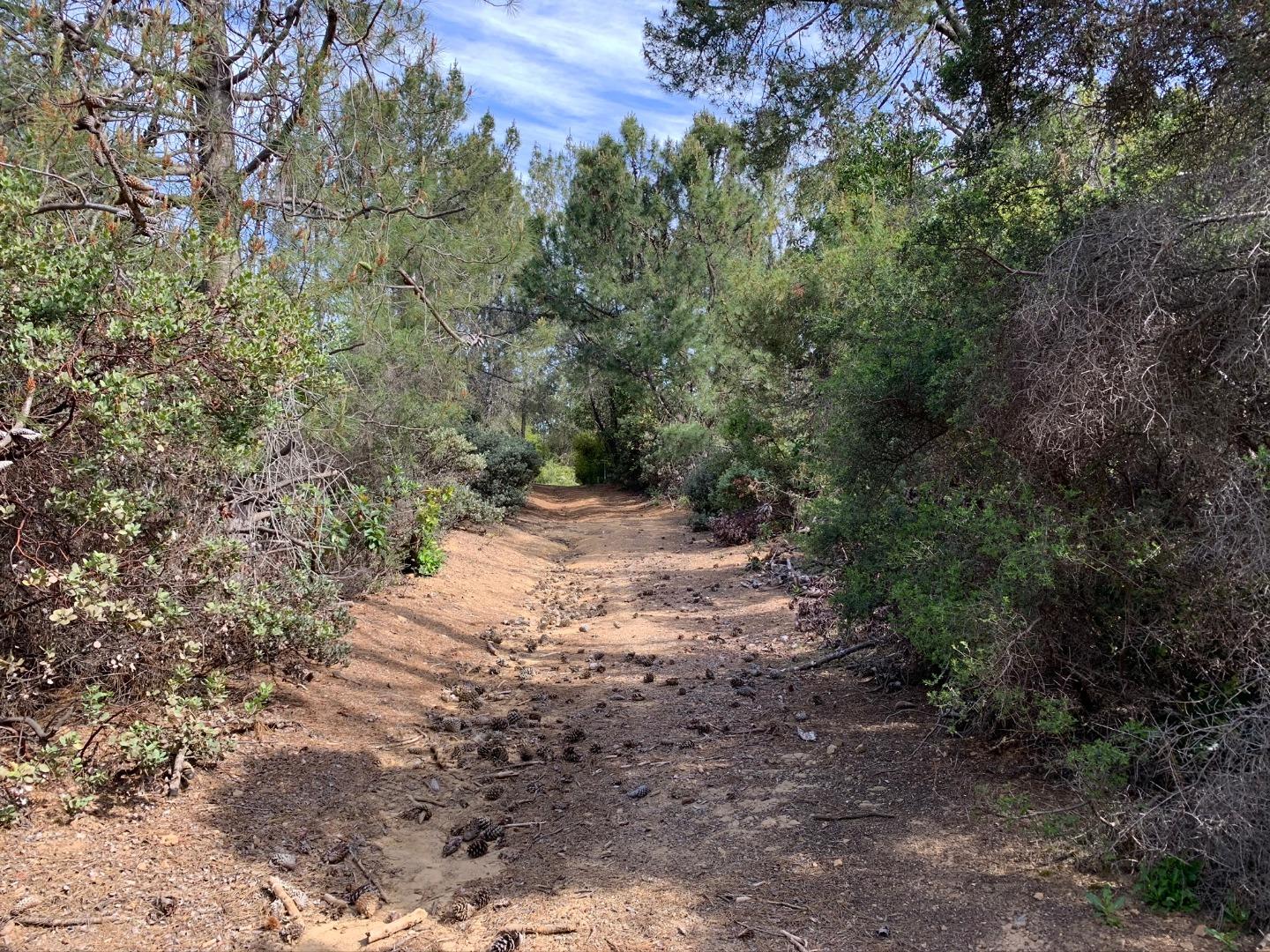 29300 Loma Chiquita Road, LOS GATOS, California 95033, ,Lots And Land,For Sale,Loma Chiquita Road,40963309
