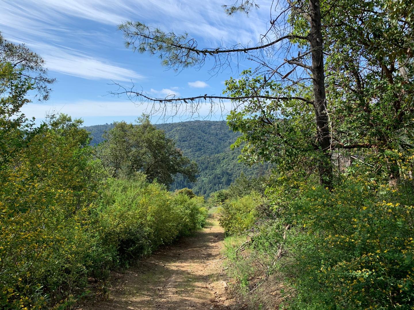 29300 Loma Chiquita Road, LOS GATOS, California 95033, ,Lots And Land,For Sale,Loma Chiquita Road,40963309