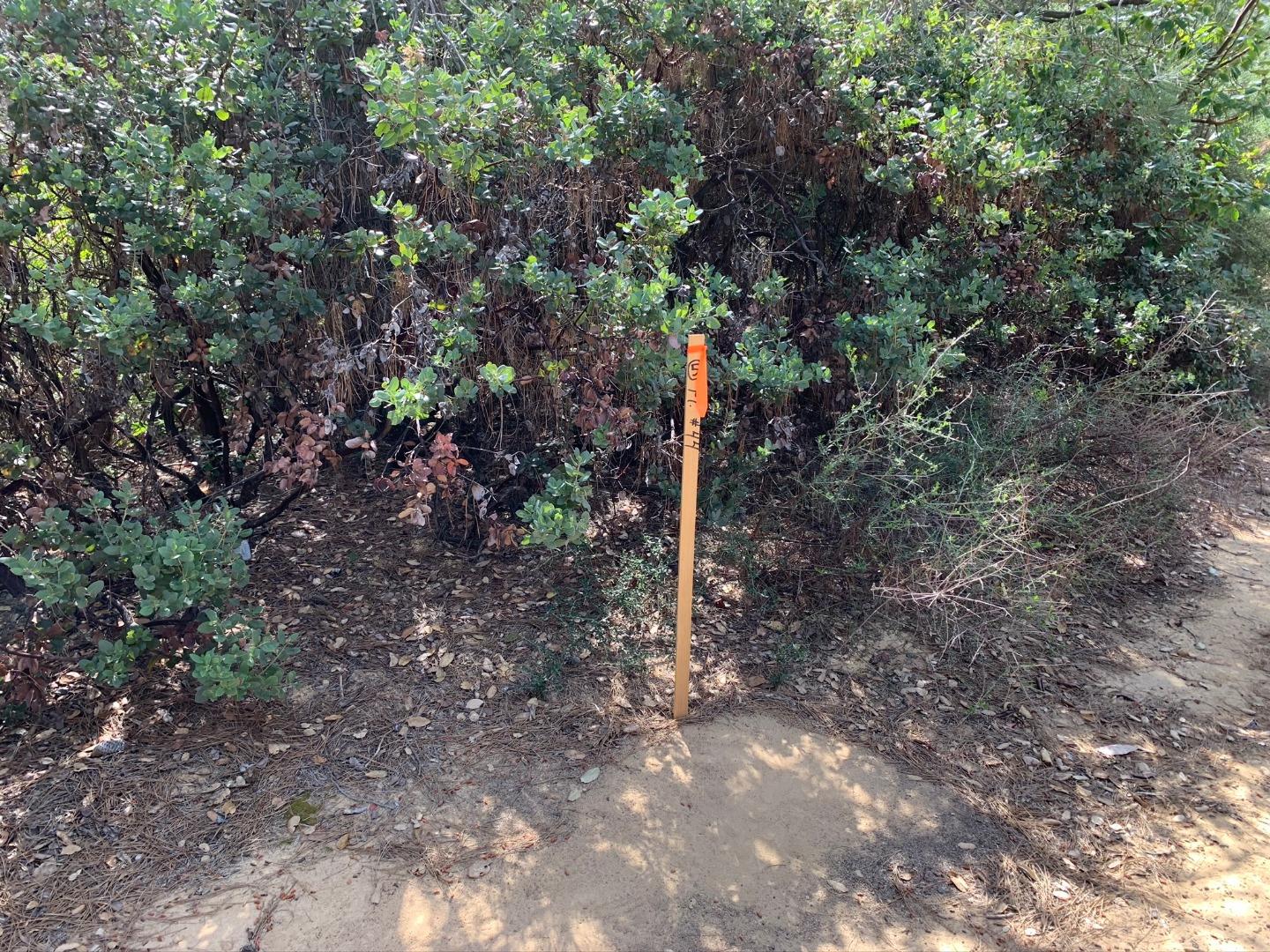 29300 Loma Chiquita Road, LOS GATOS, California 95033, ,Lots And Land,For Sale,Loma Chiquita Road,40963309