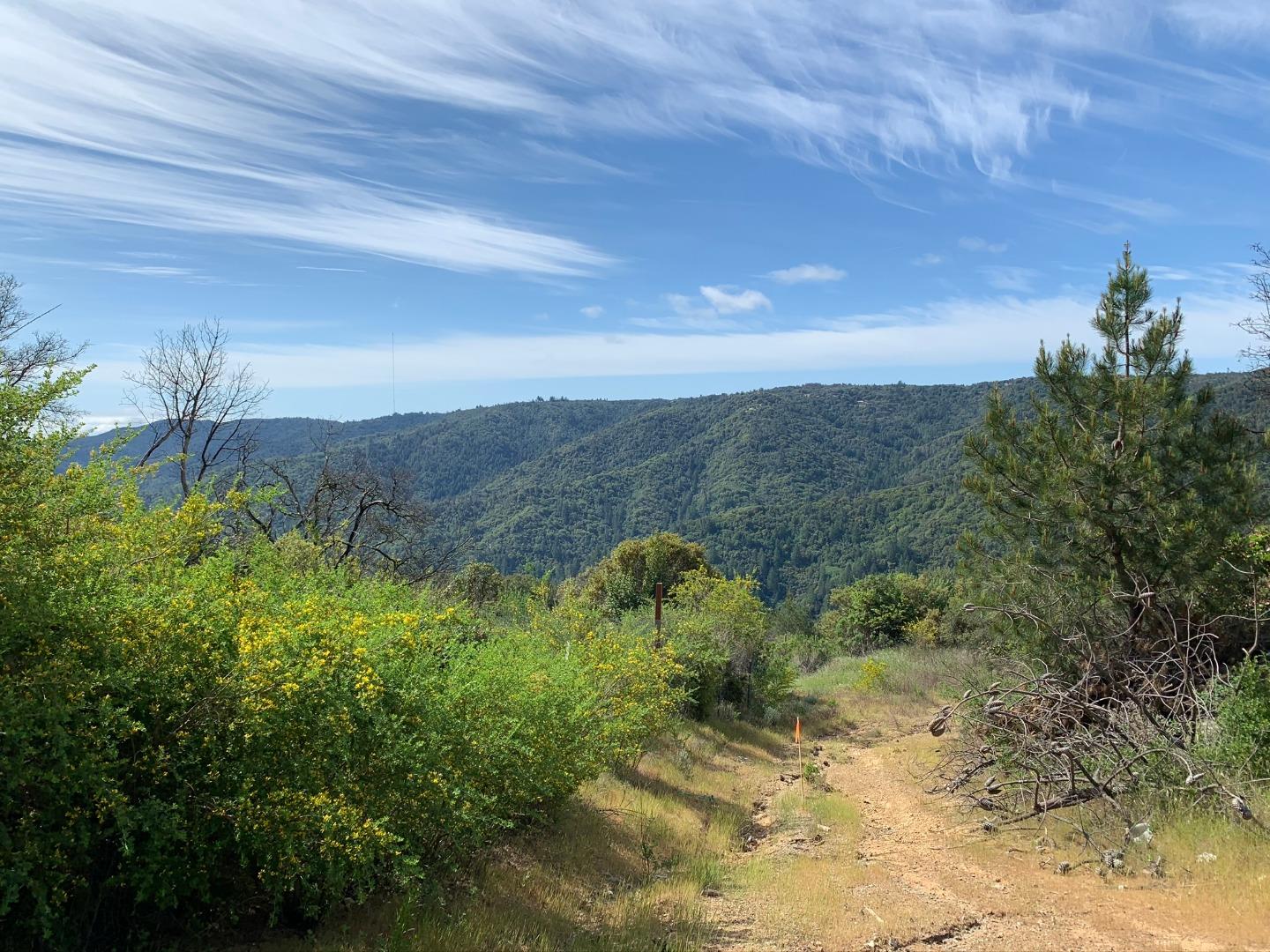 29300 Loma Chiquita Road, LOS GATOS, California 95033, ,Lots And Land,For Sale,Loma Chiquita Road,40963309