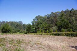 186 Dans Drive, LA SELVA BEACH, California 95076, ,Lots And Land,For Sale,Dans Drive,40962261