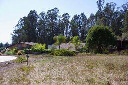 186 Dans Drive, LA SELVA BEACH, California 95076, ,Lots And Land,For Sale,Dans Drive,40962261