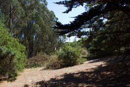 186 Dans Drive, LA SELVA BEACH, California 95076, ,Lots And Land,For Sale,Dans Drive,40962261