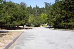 186 Dans Drive, LA SELVA BEACH, California 95076, ,Lots And Land,For Sale,Dans Drive,40962261