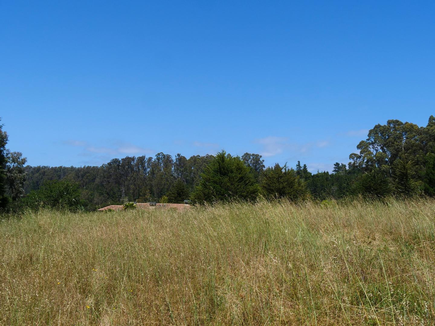 186 Dans Drive, LA SELVA BEACH, California 95076, ,Lots And Land,For Sale,Dans Drive,40962261