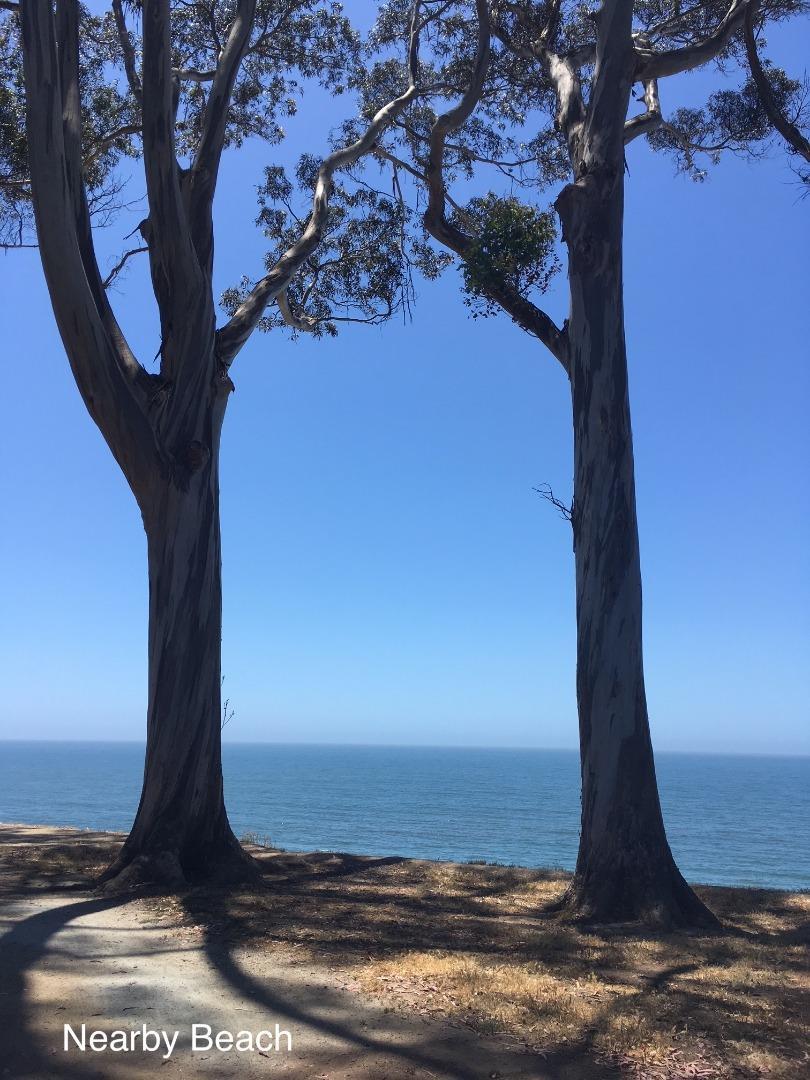 186 Dans Drive, LA SELVA BEACH, California 95076, ,Lots And Land,For Sale,Dans Drive,40962261