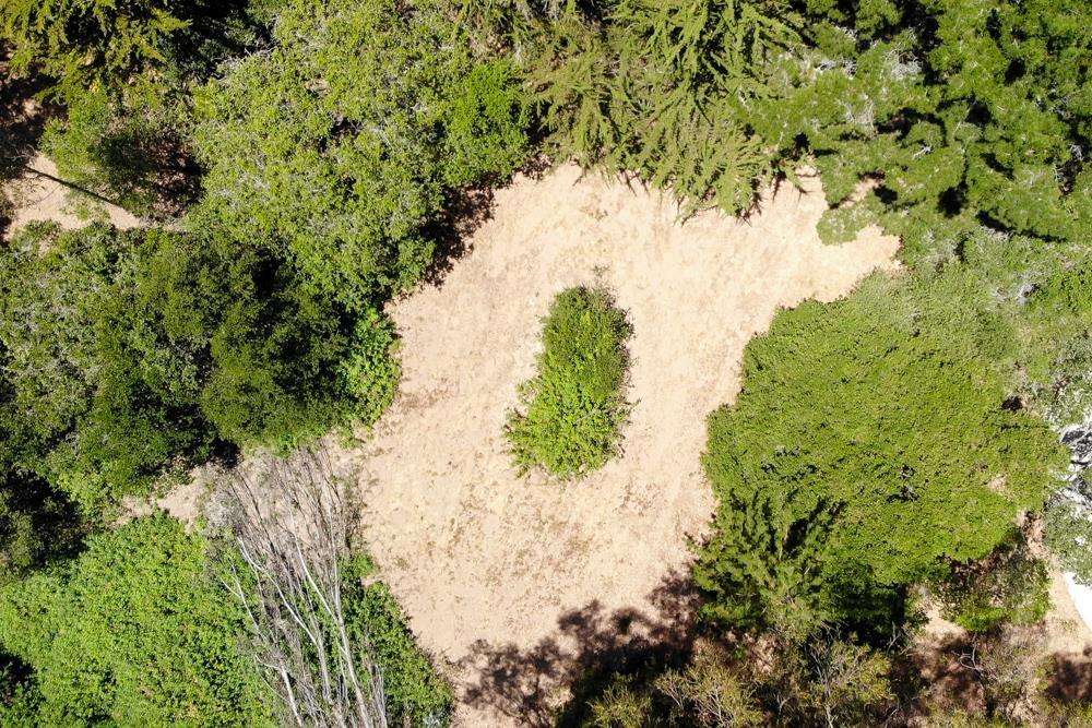 186 Dans Drive, LA SELVA BEACH, California 95076, ,Lots And Land,For Sale,Dans Drive,40962261