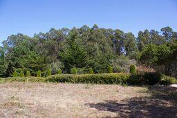 186 Dans Drive, LA SELVA BEACH, California 95076, ,Lots And Land,For Sale,Dans Drive,40962261