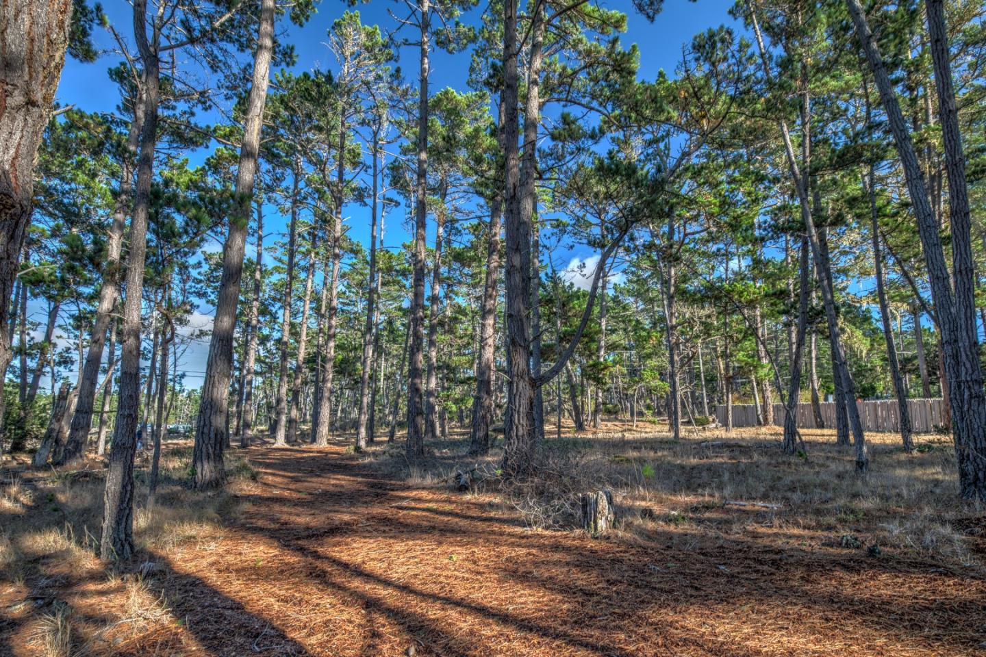 1272 Viscaino Road, PEBBLE BEACH, California 93953, ,Lots And Land,For Sale,Viscaino Road,40963110