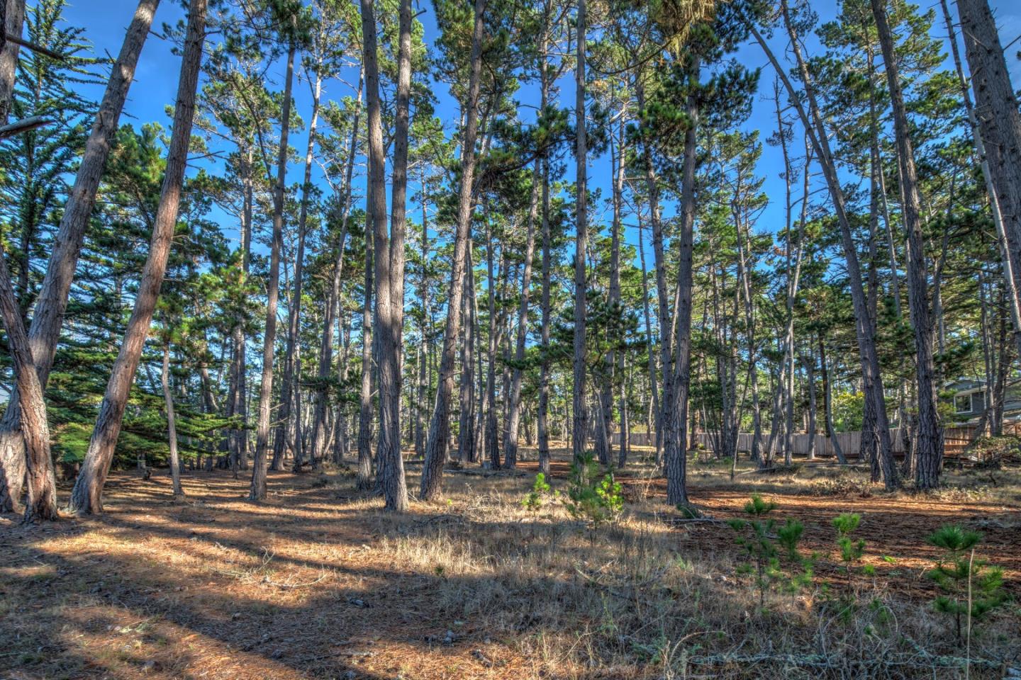 1272 Viscaino Road, PEBBLE BEACH, California 93953, ,Lots And Land,For Sale,Viscaino Road,40963110