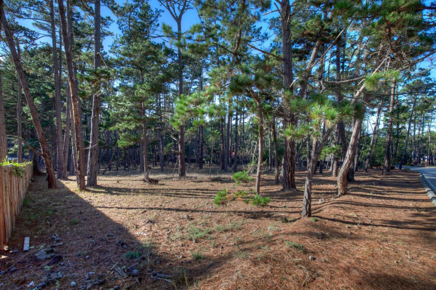 1272 Viscaino Road, PEBBLE BEACH, California 93953, ,Lots And Land,For Sale,Viscaino Road,40963110