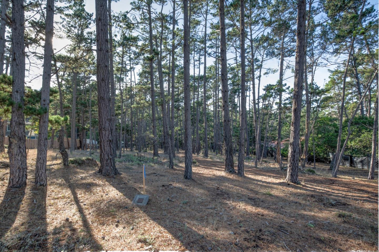 1272 Viscaino Road, PEBBLE BEACH, California 93953, ,Lots And Land,For Sale,Viscaino Road,40963110