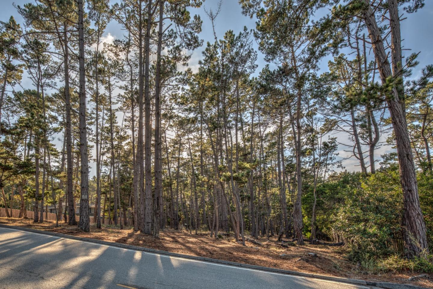 1272 Viscaino Road, PEBBLE BEACH, California 93953, ,Lots And Land,For Sale,Viscaino Road,40963110