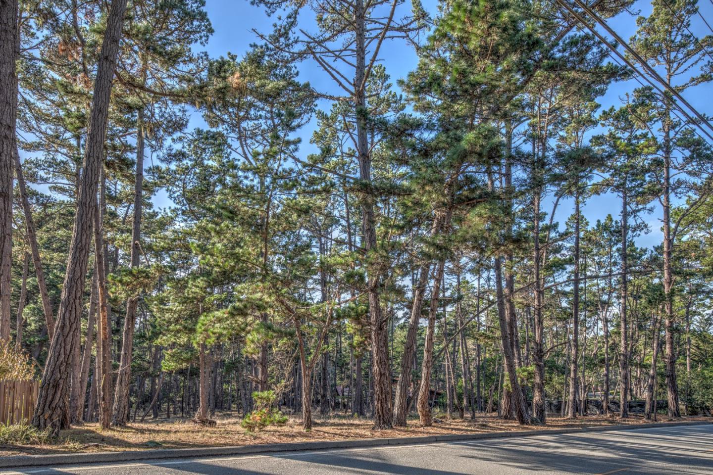 1272 Viscaino Road, PEBBLE BEACH, California 93953, ,Lots And Land,For Sale,Viscaino Road,40963110