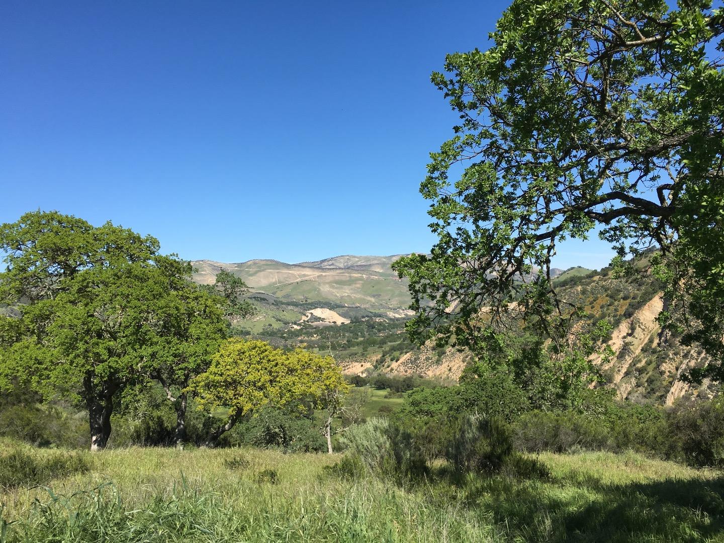 30025 Olivia Drive, GREENFIELD, California 93927, ,Lots And Land,For Sale,Olivia Drive,40963228