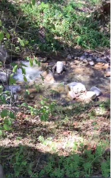 0 Tassajara Road, CARMEL VALLEY, California 93924, ,Lots And Land,For Sale,Tassajara Road,40961990