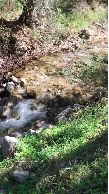 0 Tassajara Road, CARMEL VALLEY, California 93924, ,Lots And Land,For Sale,Tassajara Road,40961990