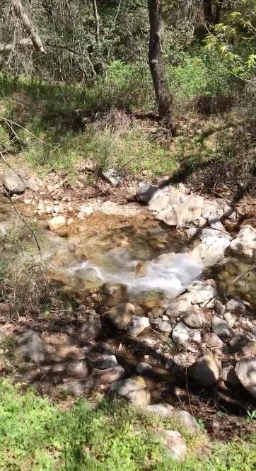 0 Tassajara Road, CARMEL VALLEY, California 93924, ,Lots And Land,For Sale,Tassajara Road,40961990