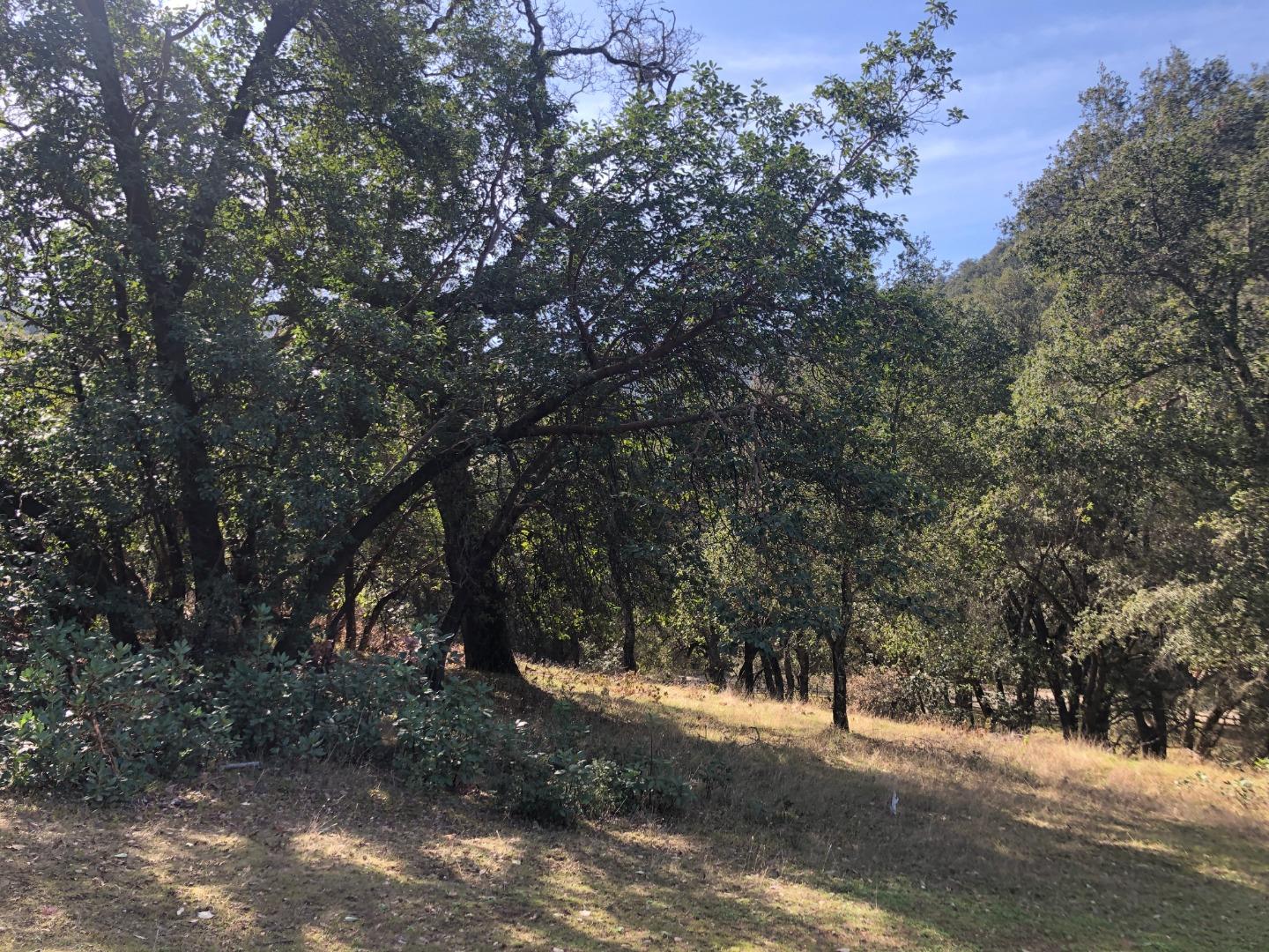 0 Tassajara Road, CARMEL VALLEY, California 93924, ,Lots And Land,For Sale,Tassajara Road,40961990