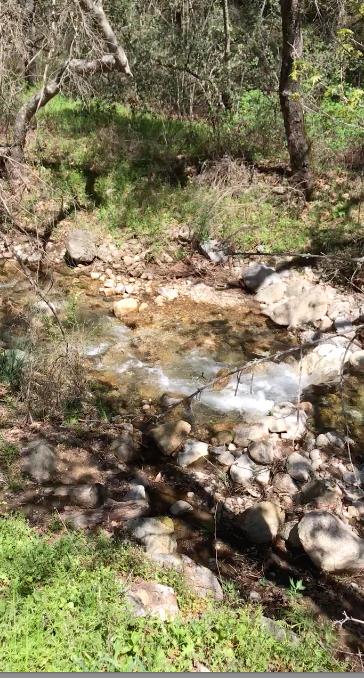 0 Tassajara Road, CARMEL VALLEY, California 93924, ,Lots And Land,For Sale,Tassajara Road,40961990