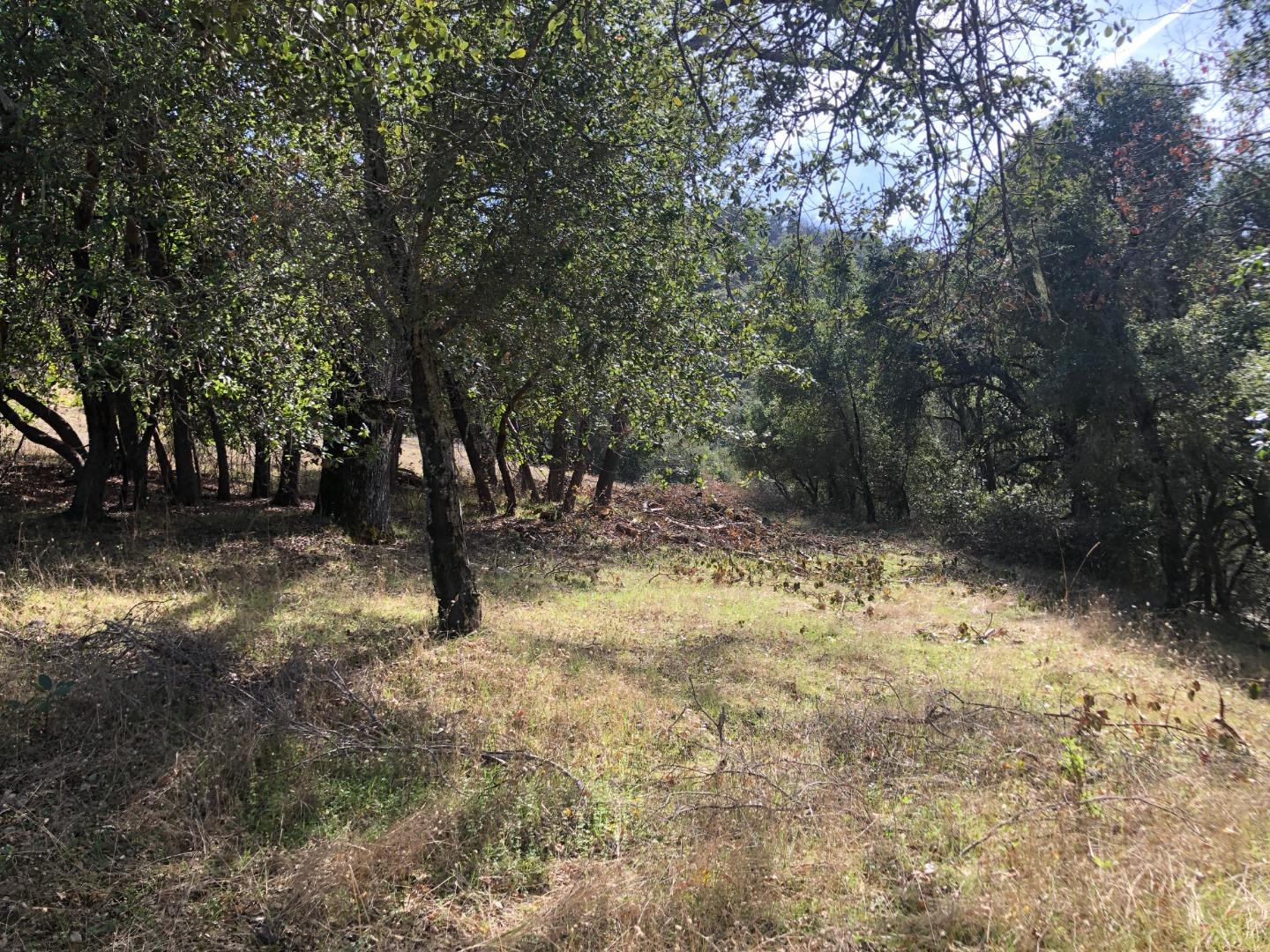 0 Tassajara Road, CARMEL VALLEY, California 93924, ,Lots And Land,For Sale,Tassajara Road,40961990