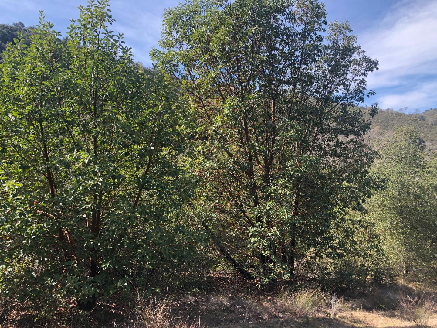 0 Tassajara Road, CARMEL VALLEY, California 93924, ,Lots And Land,For Sale,Tassajara Road,40961990