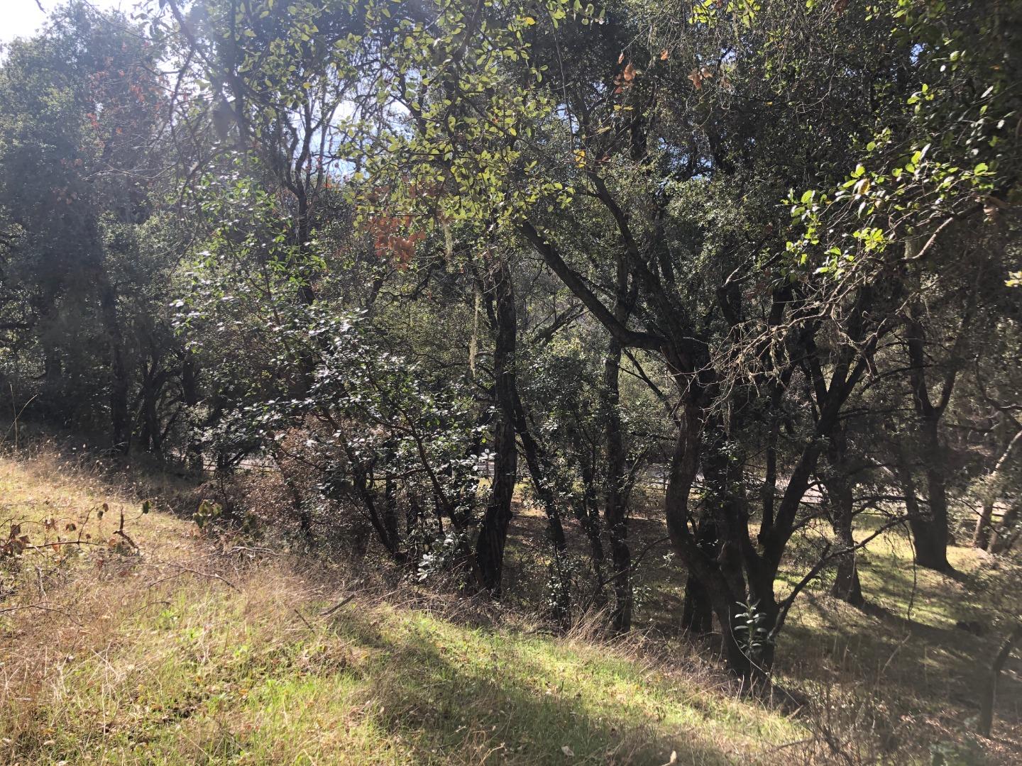 0 Tassajara Road, CARMEL VALLEY, California 93924, ,Lots And Land,For Sale,Tassajara Road,40961990