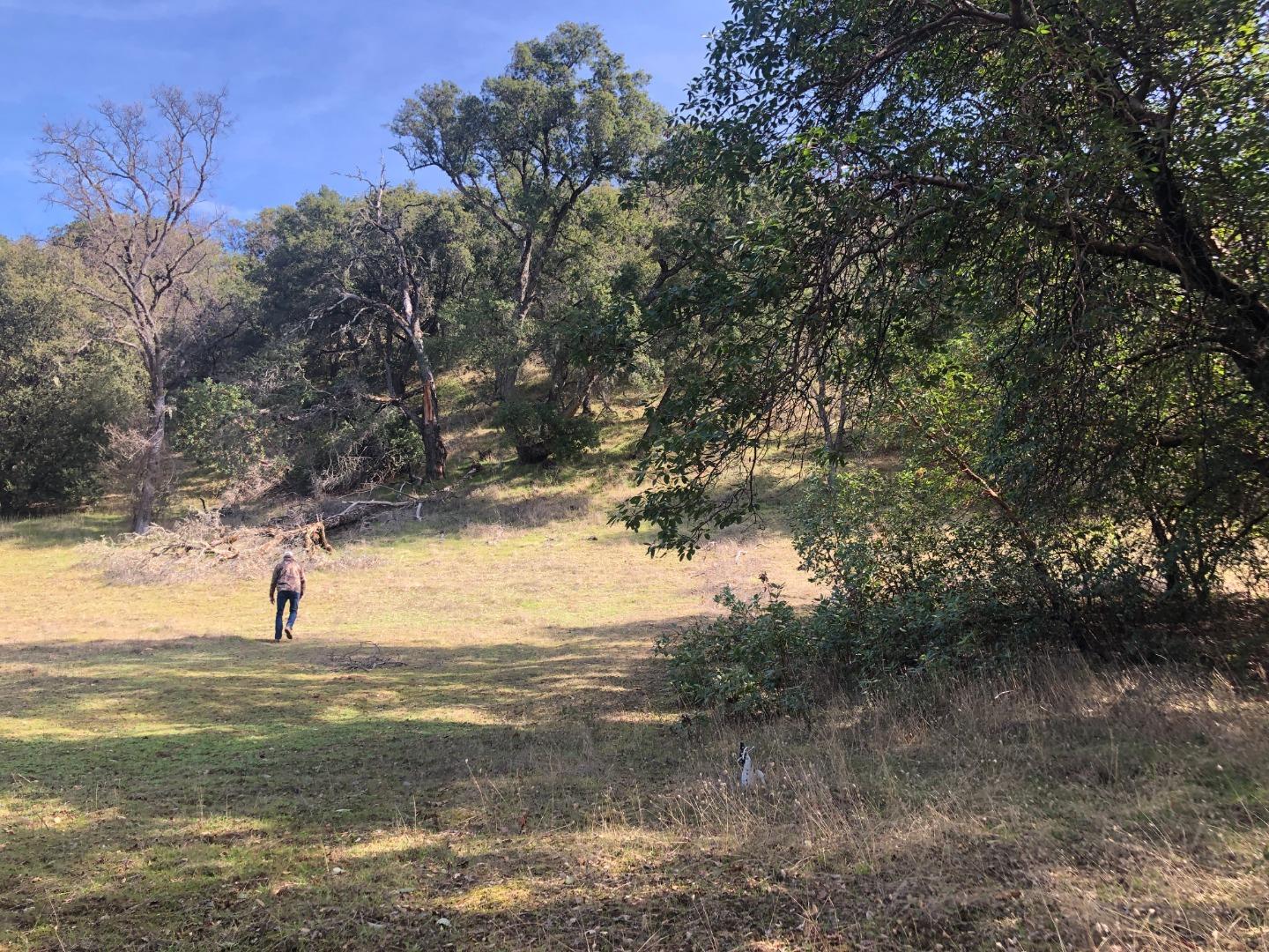 0 Tassajara Road, CARMEL VALLEY, California 93924, ,Lots And Land,For Sale,Tassajara Road,40961990