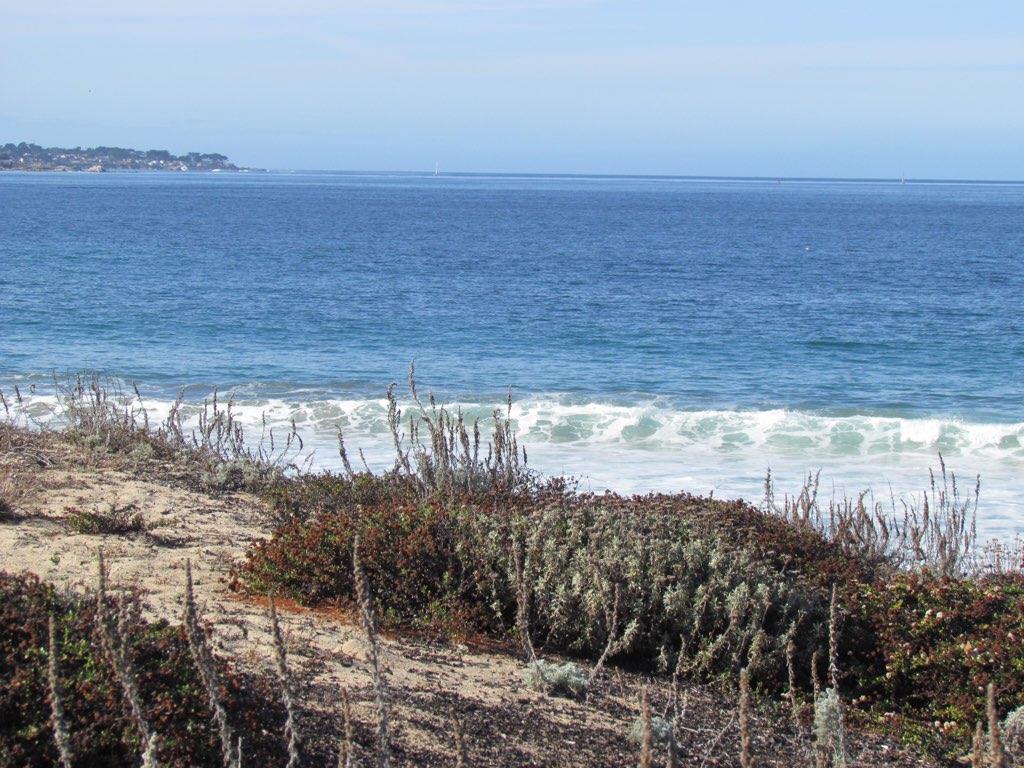 132 Tide Avenue, MONTEREY, California 93940, ,Lots And Land,For Sale,Tide Avenue,40961868