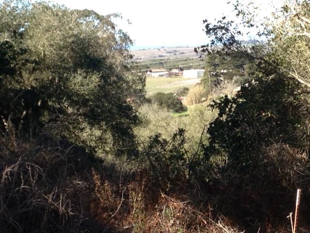 39 Bayview Road, CASTROVILLE, California 95012, ,Lots And Land,For Sale,Bayview Road,40962354