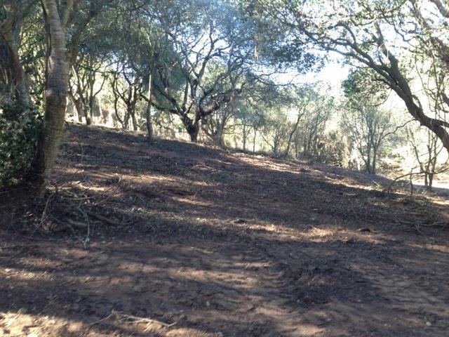 39 Bayview Road, CASTROVILLE, California 95012, ,Lots And Land,For Sale,Bayview Road,40962354