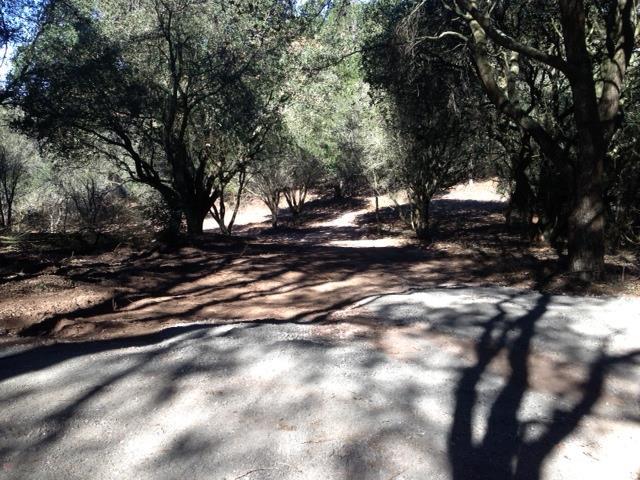 39 Bayview Road, CASTROVILLE, California 95012, ,Lots And Land,For Sale,Bayview Road,40962354