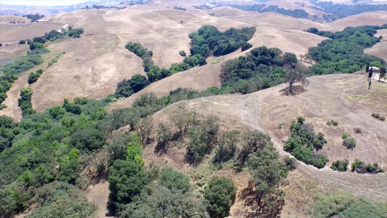 531 Vista Ridge Drive, MILPITAS, California 95035, ,Lots And Land,For Sale,Vista Ridge Drive,40967398