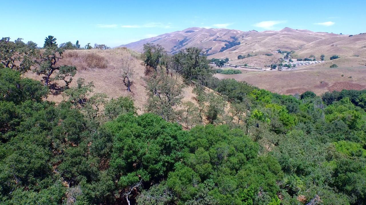 531 Vista Ridge Drive, MILPITAS, California 95035, ,Lots And Land,For Sale,Vista Ridge Drive,40967398