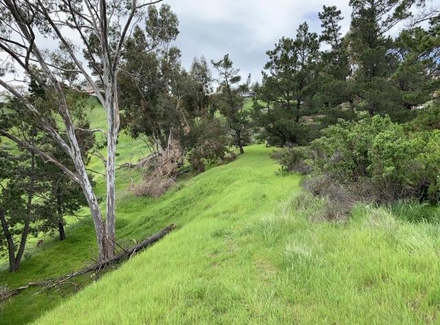 781 Boulder Drive, SAN JOSE, California 95132, ,Lots And Land,For Sale,Boulder Drive,40967399