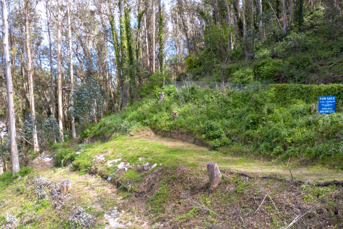 1693 Higgins Way, PACIFICA, California 94044, ,Lots And Land,For Sale,Higgins Way,40964808
