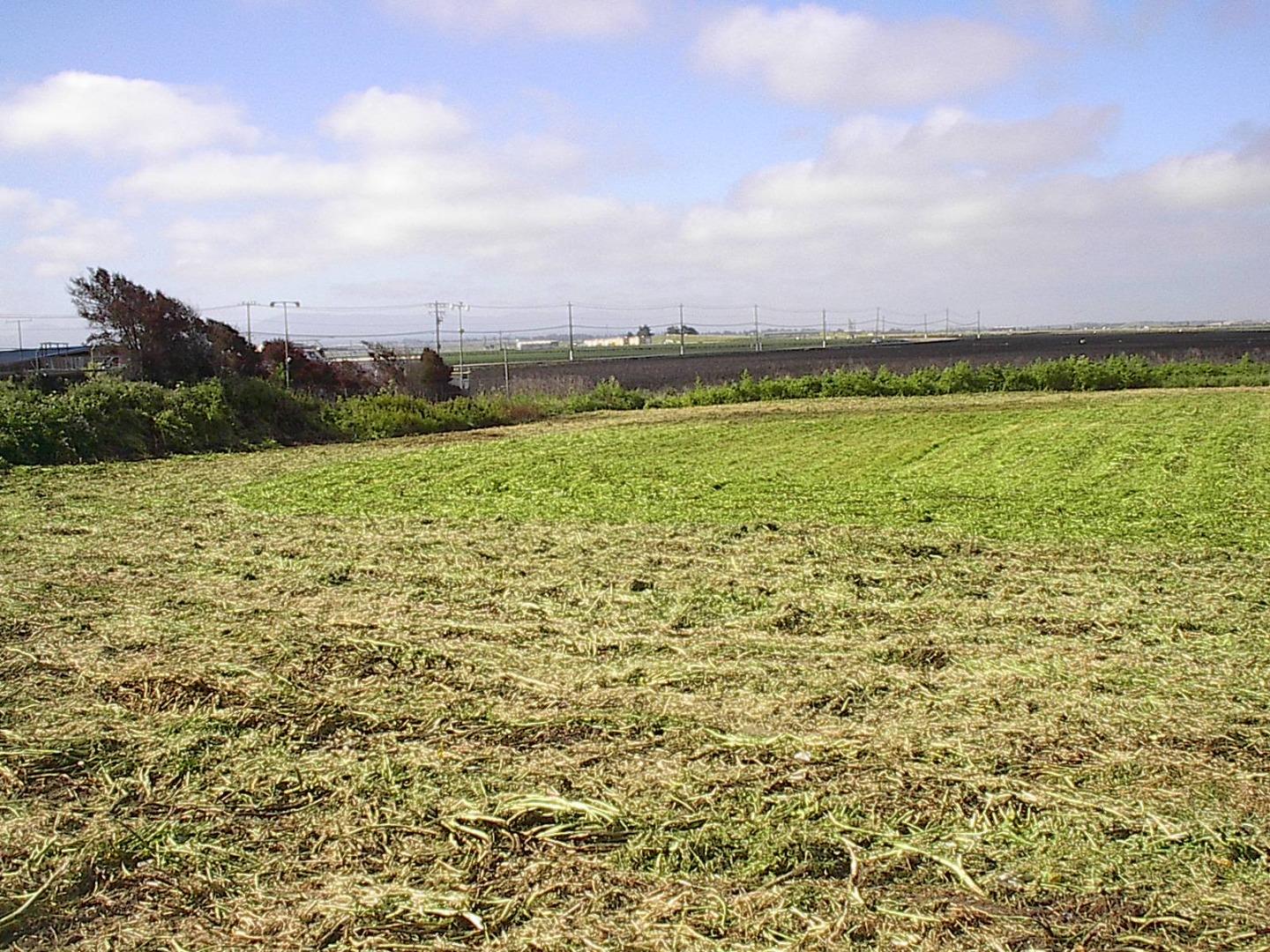 10500 Tembladera Street, CASTROVILLE, California 95012, ,Lots And Land,For Sale,Tembladera Street,40965126