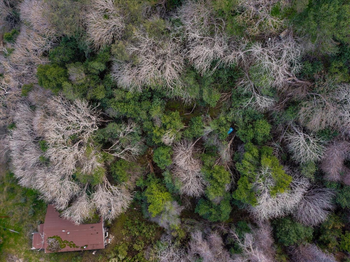 46360 Arroyo Seco Road, GREENFIELD, California 93927, ,Lots And Land,For Sale,Arroyo Seco Road,40963137