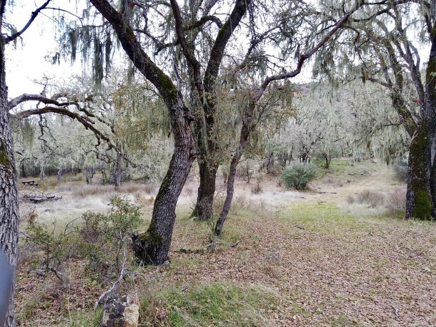 46360 Arroyo Seco Road, GREENFIELD, California 93927, ,Lots And Land,For Sale,Arroyo Seco Road,40963137