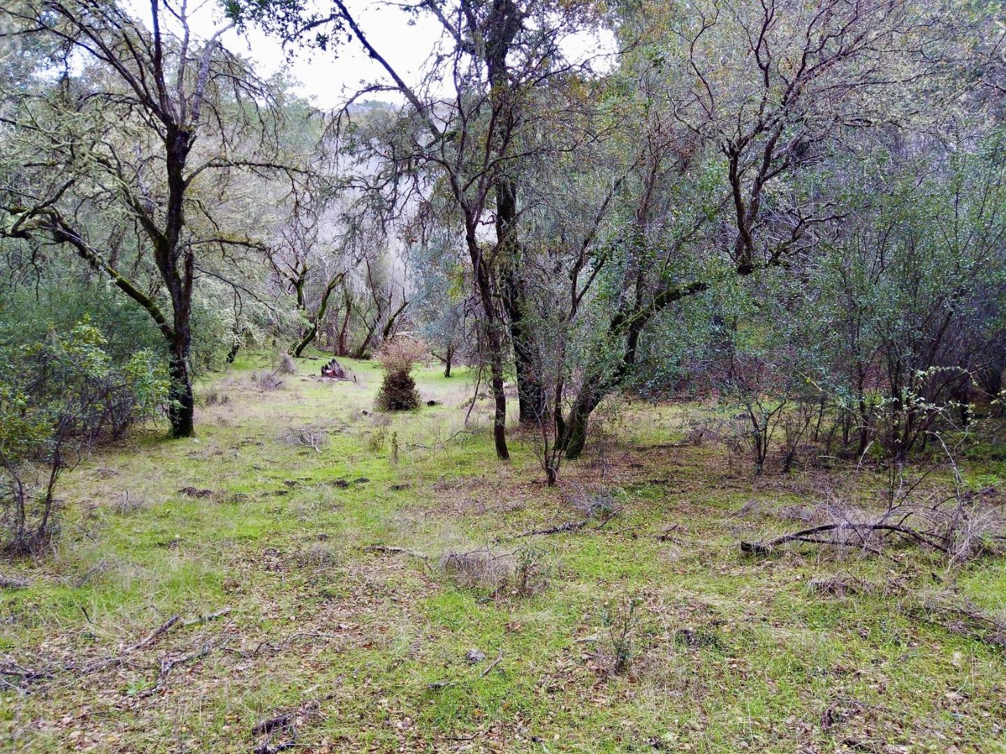 46360 Arroyo Seco Road, GREENFIELD, California 93927, ,Lots And Land,For Sale,Arroyo Seco Road,40963137