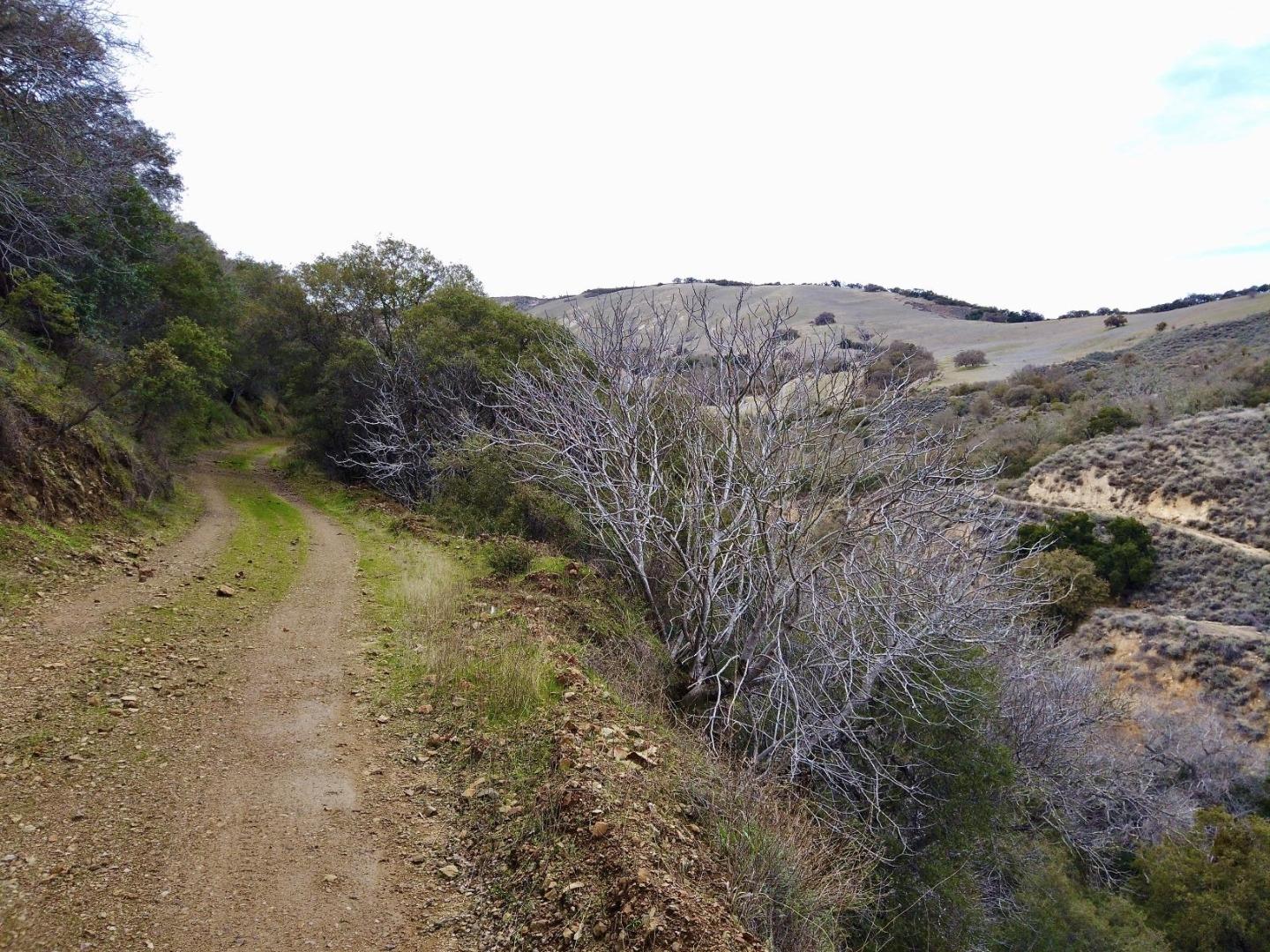 46360 Arroyo Seco Road, GREENFIELD, California 93927, ,Lots And Land,For Sale,Arroyo Seco Road,40963137