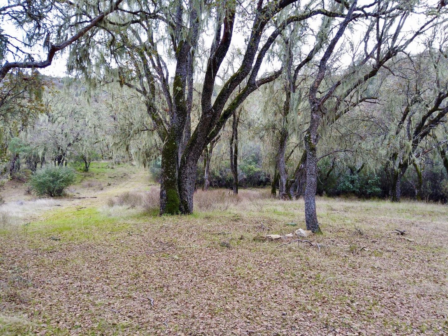 46360 Arroyo Seco Road, GREENFIELD, California 93927, ,Lots And Land,For Sale,Arroyo Seco Road,40963137