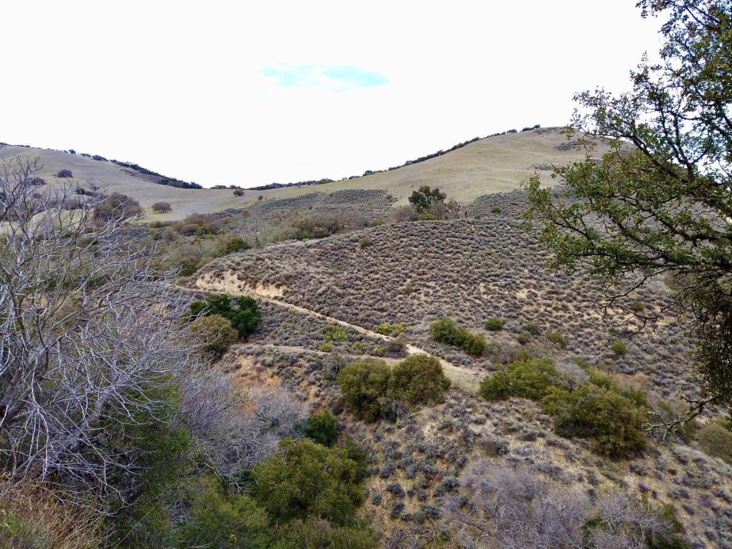 46360 Arroyo Seco Road, GREENFIELD, California 93927, ,Lots And Land,For Sale,Arroyo Seco Road,40963137