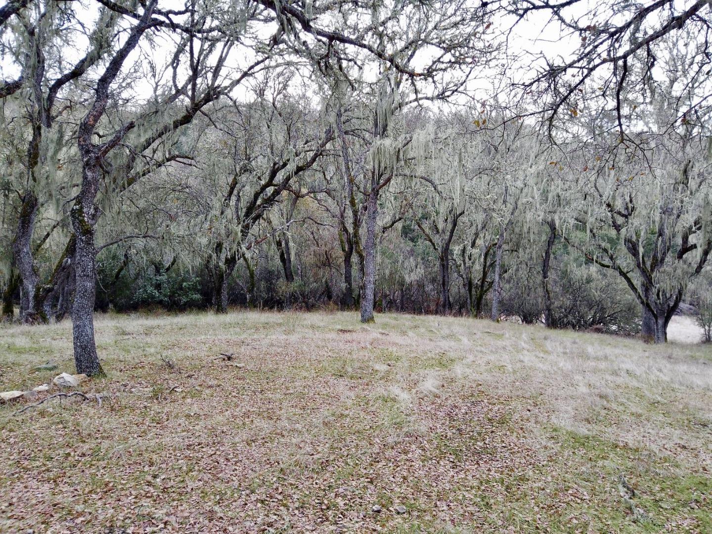 46360 Arroyo Seco Road, GREENFIELD, California 93927, ,Lots And Land,For Sale,Arroyo Seco Road,40963137