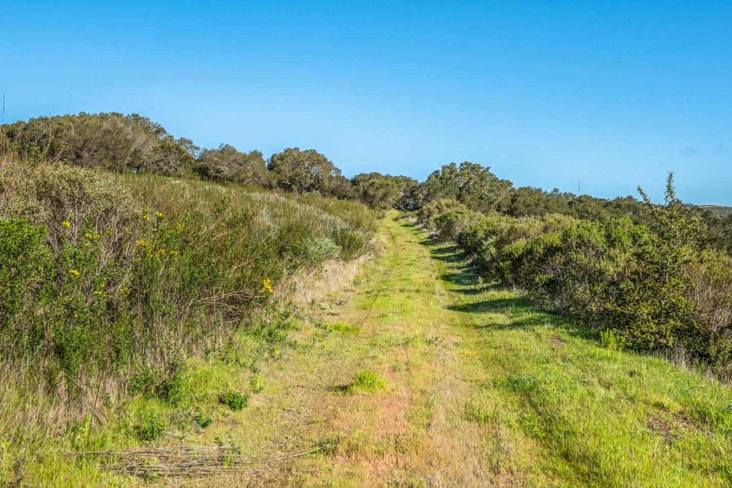 10190 Calle De Robles, CARMEL VALLEY, California 93924, ,Lots And Land,For Sale,Calle De Robles,40962291