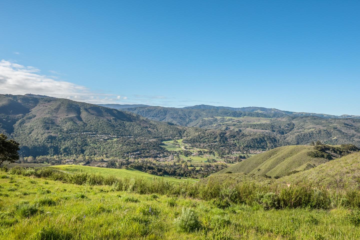 10190 Calle De Robles, CARMEL VALLEY, California 93924, ,Lots And Land,For Sale,Calle De Robles,40962291