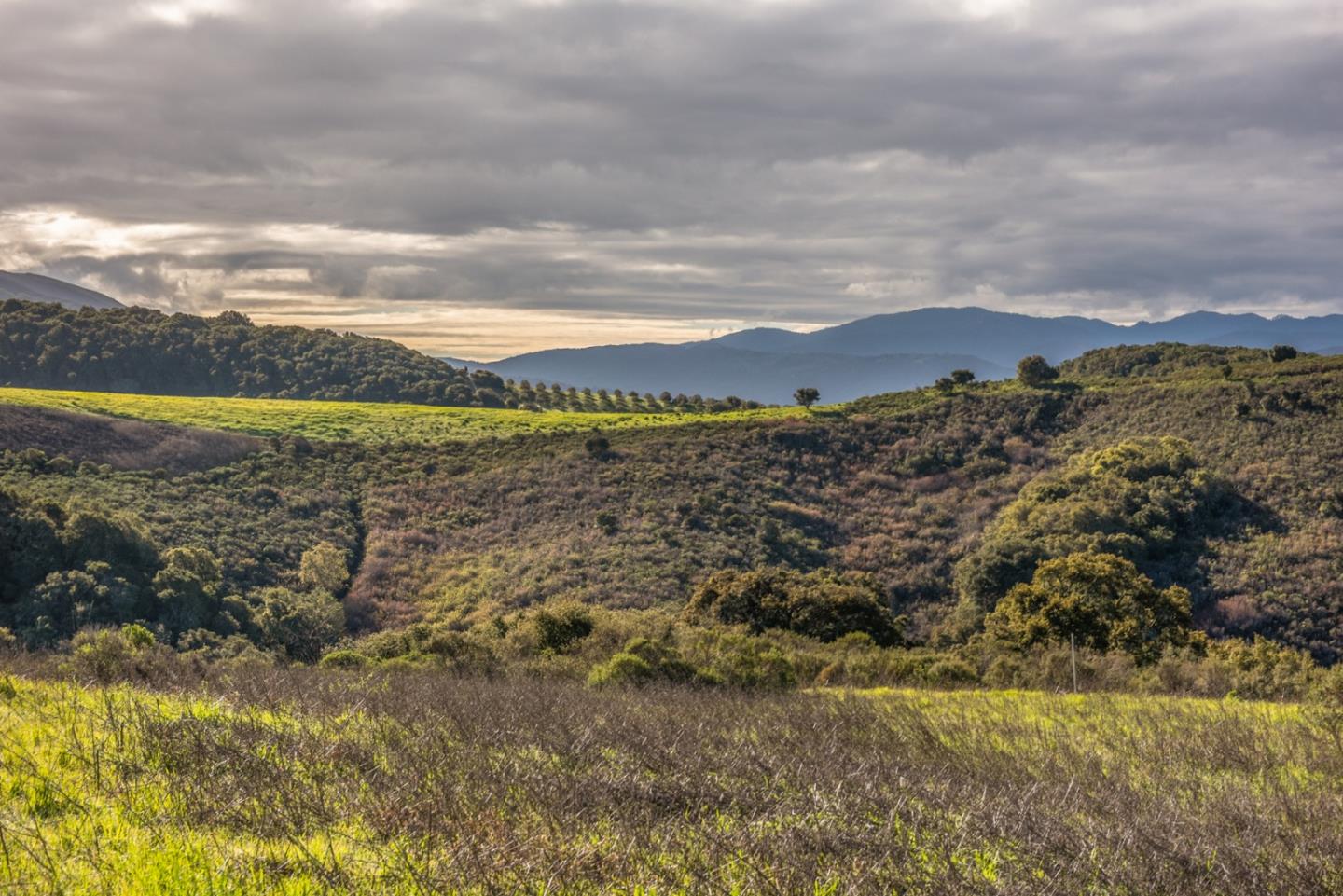 10190 Calle De Robles, CARMEL VALLEY, California 93924, ,Lots And Land,For Sale,Calle De Robles,40962291