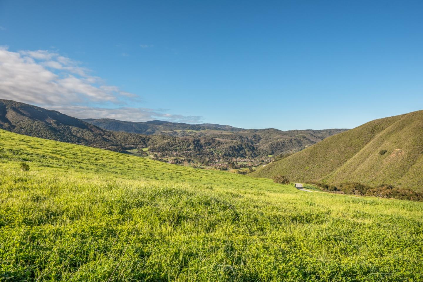 10190 Calle De Robles, CARMEL VALLEY, California 93924, ,Lots And Land,For Sale,Calle De Robles,40962291