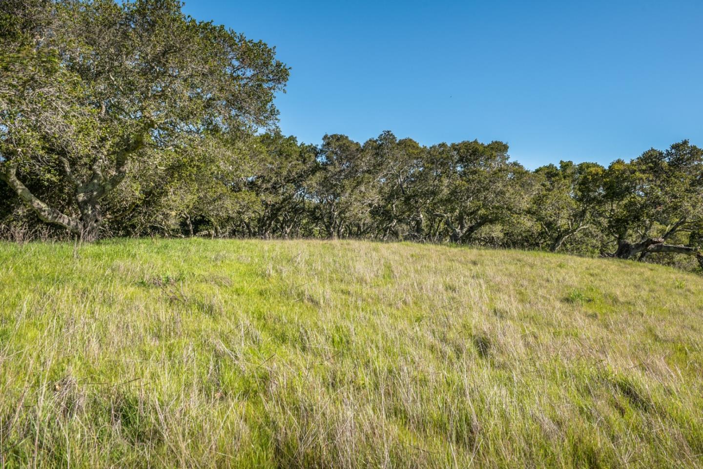 10190 Calle De Robles, CARMEL VALLEY, California 93924, ,Lots And Land,For Sale,Calle De Robles,40962291