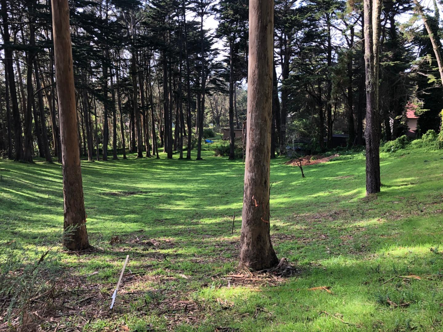 20 Bay View Road, MONTARA, California 94037, ,Lots And Land,For Sale,Bay View Road,40963816